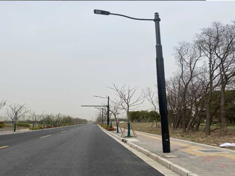 北仑区上海综合杆 太阳能路灯工程